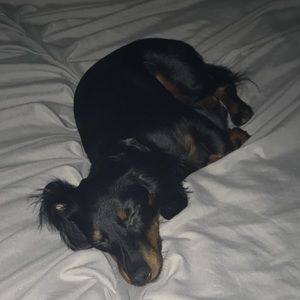 Meet your Posher, Fiona